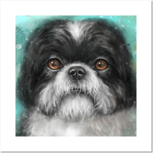 Painting of a Black and White Shih Tzu Dog with Honey Eyes Posters and Art